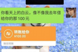 历城要账公司更多成功案例详情